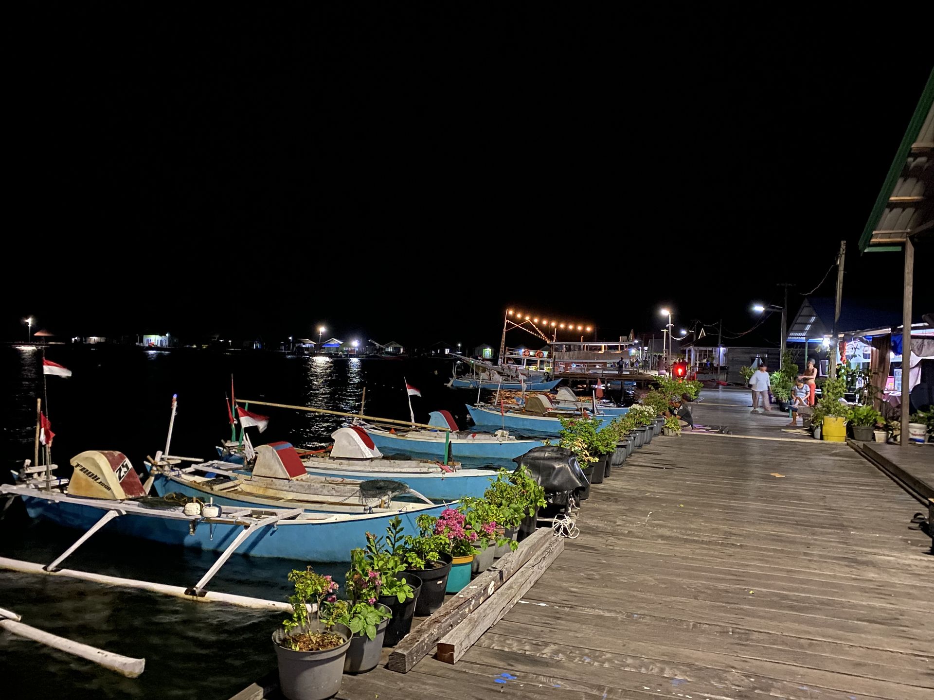 Suasana malam di Pulau Miang tenang dan damai, dengan cahaya lampu surya lembut, deburan ombak, dan langit penuh bintang yang menciptakan pemandangan magis.